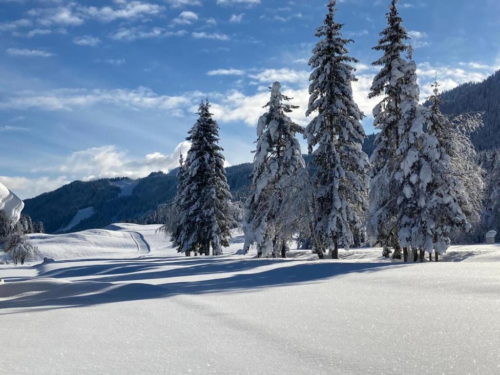Ferienhof Hoffmann Weissensee Eksteriør bilde
